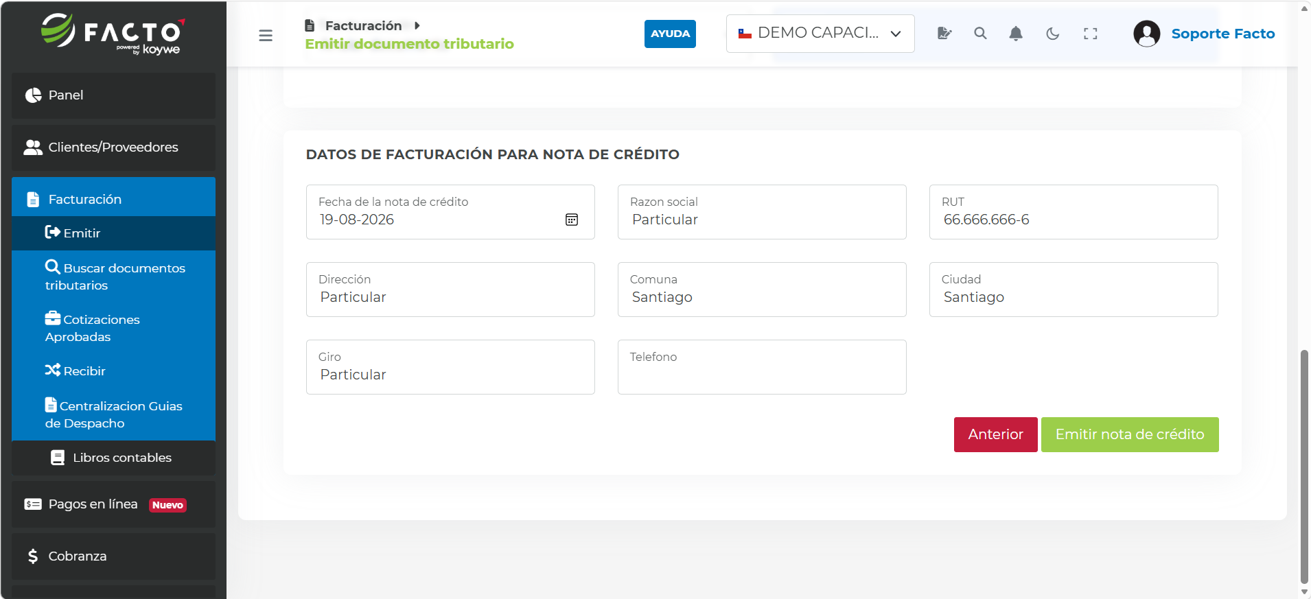 Datos de facturación del receptor con RUT genérico y la palabra Particular