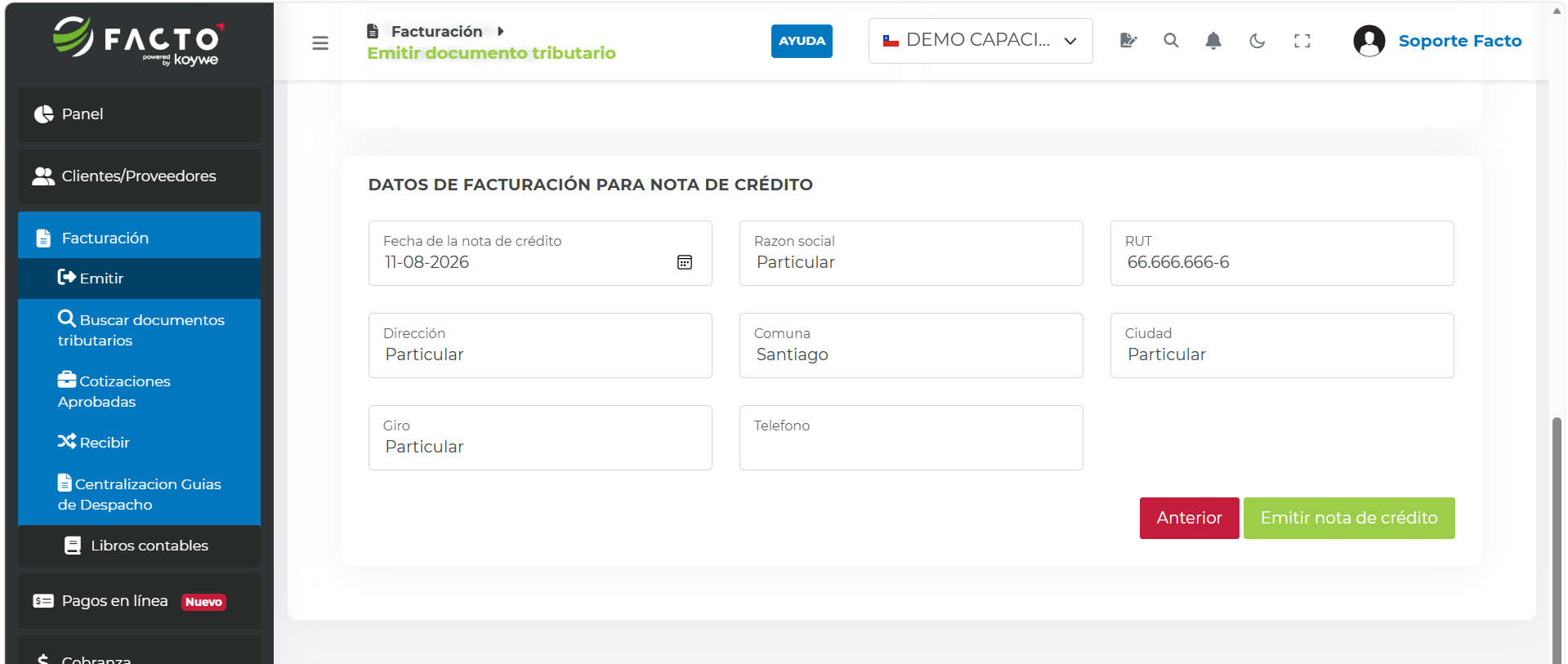 Datos de facturación con RUT genérico y la palabra Particular