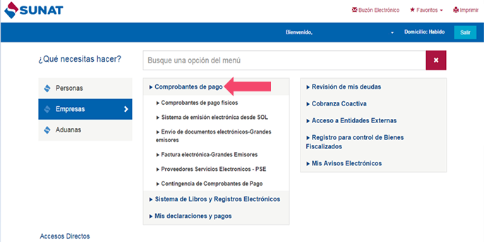 SUNAT — Empresas, Comprobantes de pago