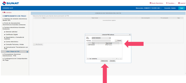 SUNAT — Search Efact and Select